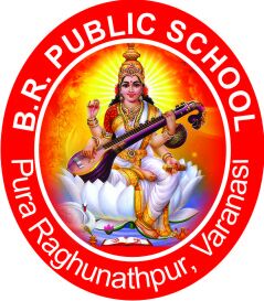 B. R. Public School